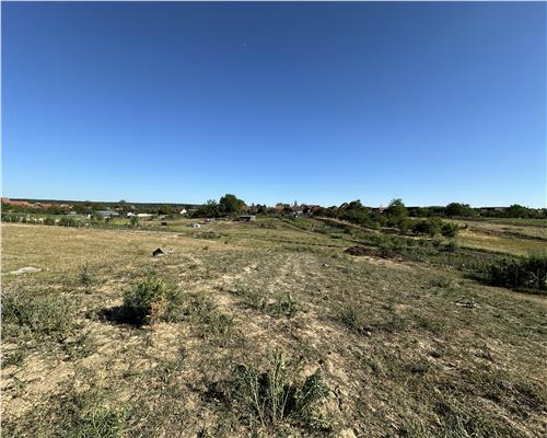 TEREN INTRAVILAN 1377 MP | ZONA ALPAREA