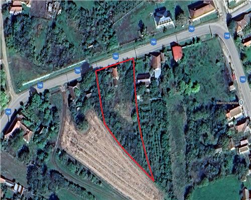 TEREN 2364 mp + CASA VECHE | CAUASD | BIHOR