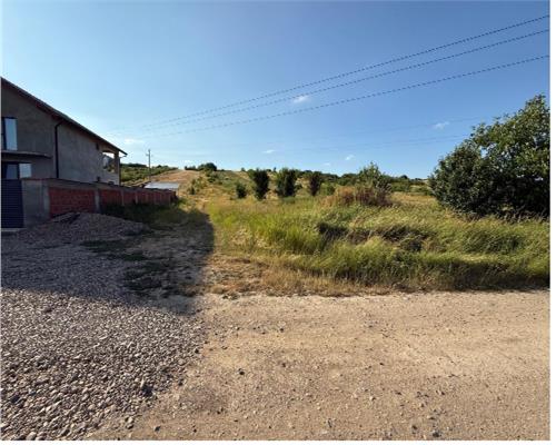 TEREN DE VANZARE | INTRAVILAN |3597 MP| BEIUS