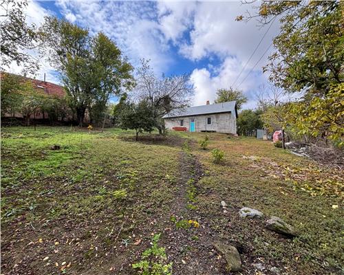 CASA SI TEREN 4.000 MP | SAT TRIA | COMUNA DERNA | JUDETUL BIHOR