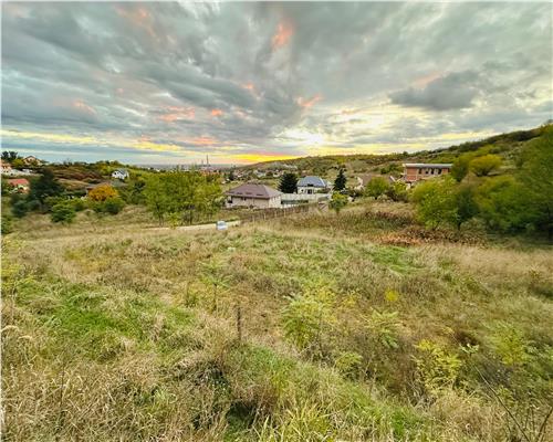 TEREN INTRAVILAN, 950 MP, ZONA PALEU, STRADA PADURII
