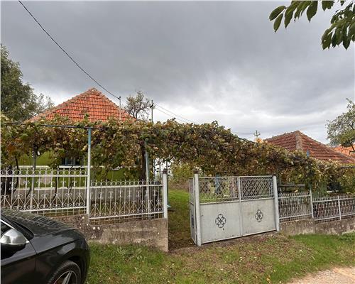 TEREN | 9341 MP | BALNACA GROSI | BIHOR