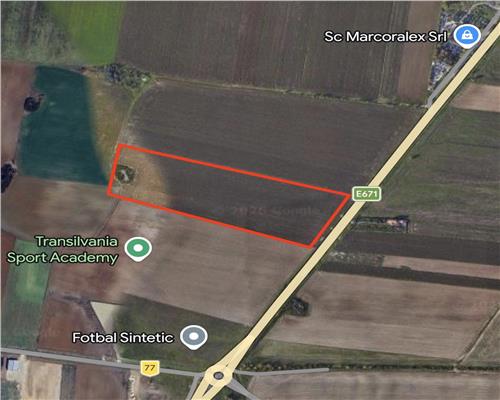 TEREN INTRAVILAN 24457 MP | 80 ML FRONT STRADAL | ORADEA | BIHOR