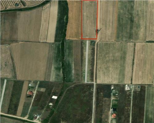 TEREN INTRAVILAN | 5.755 MP | ZONA GRIGORESCU 2| BIHOR