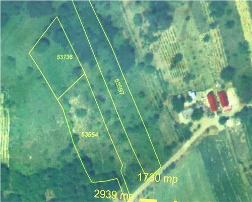 TEREN EXTRAVILAN  |  2939MP |  UILEACUL DE CRIS | BIHOR
