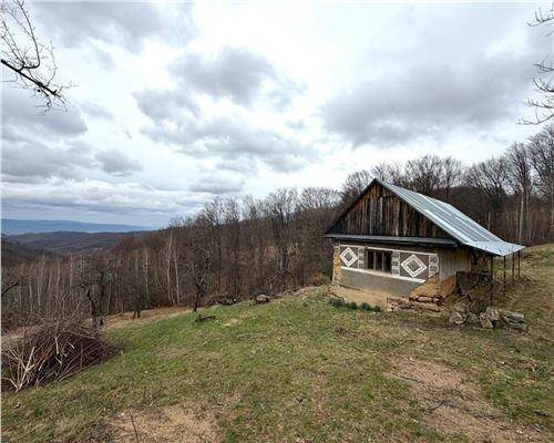 TEREN 34.000 MP | SERANI BIHOR