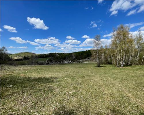 TEREN EXTRAVILAN | 103.000mp | BALANACA-GROSI | PASUNE | PASUNE IMPADURITA | BIHOR