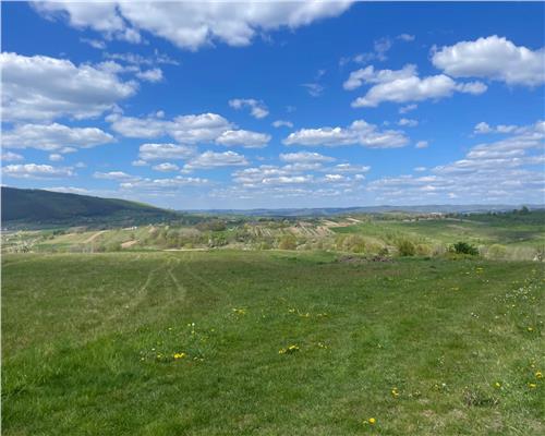 TEREN | BALNACA | 6301MP | BIHOR